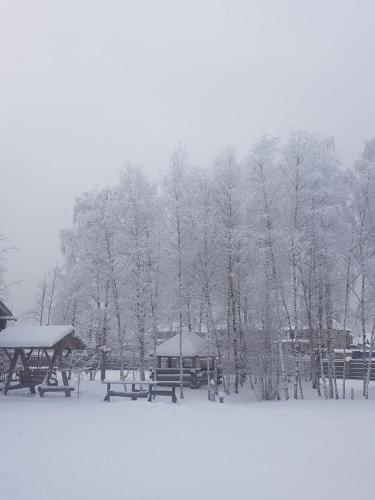 
Podmoskovnyi Domik зимой
