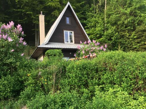 una pequeña casa en medio de un campo de flores en Chaty Pohoda na Soláni en Velké Karlovice