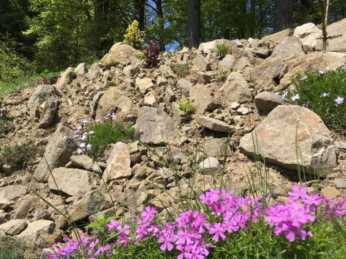 a pile of rocks and purple flowers on a hill at Chaty Pohoda na Soláni in Velké Karlovice