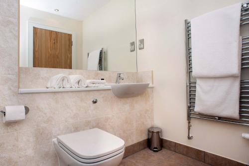 y baño con lavabo, aseo y espejo. en The Lodge at Craigielaw and Golf Courses, en Aberlady