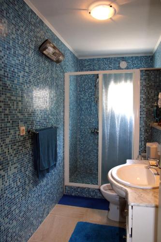 a bathroom with a shower and a toilet and a sink at Villa Masline in Sevid