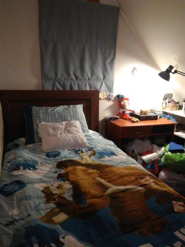 Un dormitorio con una cama con un perro grande. en Marianela, en Los Ángeles