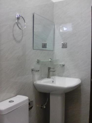 a bathroom with a sink and a mirror and a toilet at Daffodils Inn in Adams Peak