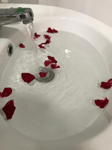 - un lavabo blanc dans la salle de bains avec des pétales rouges dans l'eau dans l'établissement Trang Toan Hotel, à Cat Ba