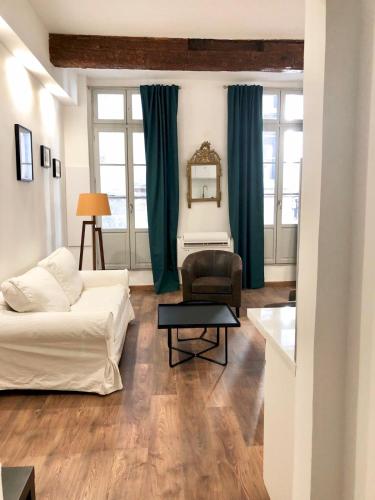 un salon avec un canapé et une chaise dans l'établissement Le musée Fabre, appart de charme , parking gratuit, à Montpellier