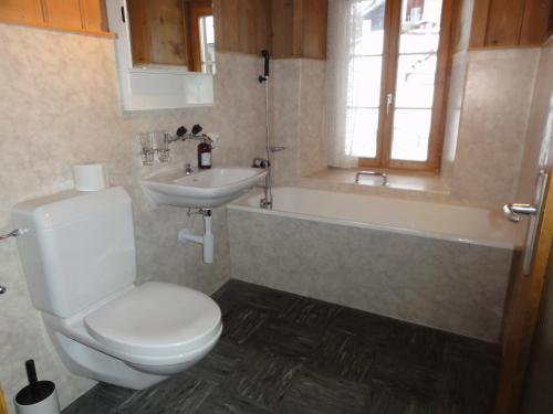 a bathroom with a white toilet and a sink at Apartment Walter in Vals