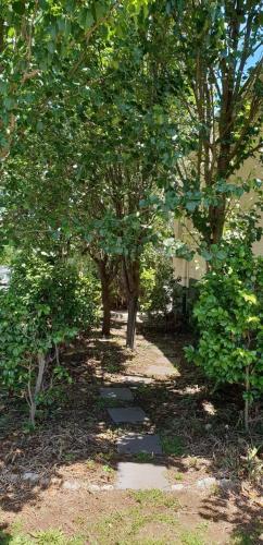 a path in a park with trees and a building at Olive's Cottage in Mount Gambier