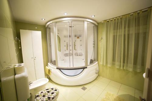 a bathroom with a shower and a toilet in it at Cabane- Vila Crinul si Teodor Poiana Brasov in Poiana Brasov
