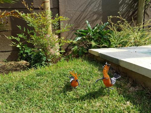 two birds standing in the grass in a yard at Absolute Castillo in Riebeek-Kasteel