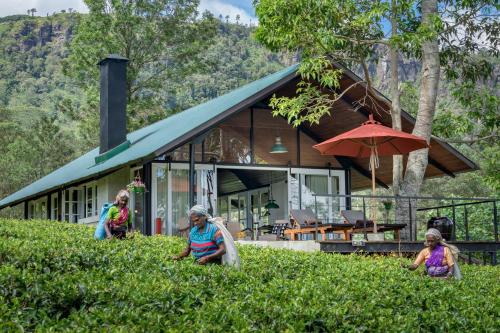 a group of people in the grass in front of a house at Madulkelle Tea and Eco Lodge in Kandy