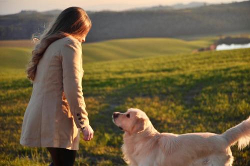 a woman standing next to a white dog in a field at Agriturismo Pieve Sprenna in Buonconvento