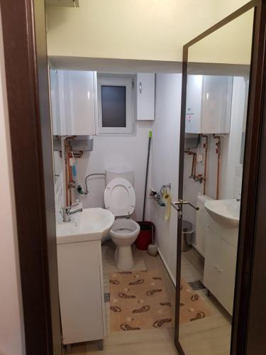 a small bathroom with a toilet and a sink at Sweet Apartment in Ramingstein