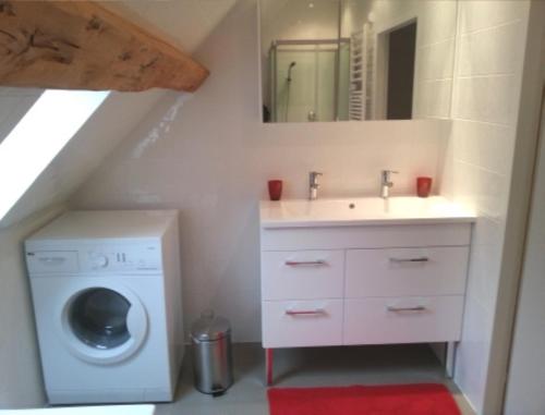 a bathroom with a sink and a washing machine at Gite Allier in Montaigu-le-Blin