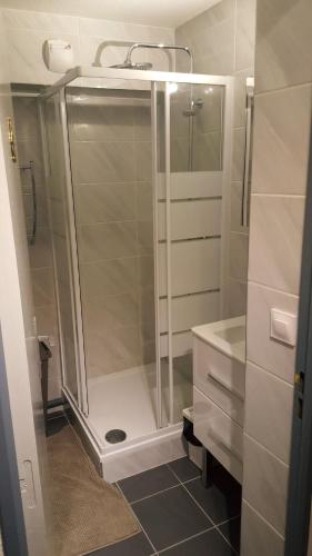 une salle de bain avec douche et lavabo dans l'établissement Les Cyprès d'Or, à La Grande Motte