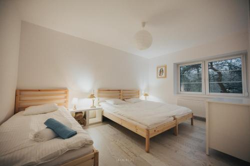 two beds in a bedroom with two windows at Leśniki in Babimost