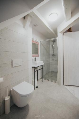 a bathroom with a toilet and a sink and a shower at Leśniki in Babimost