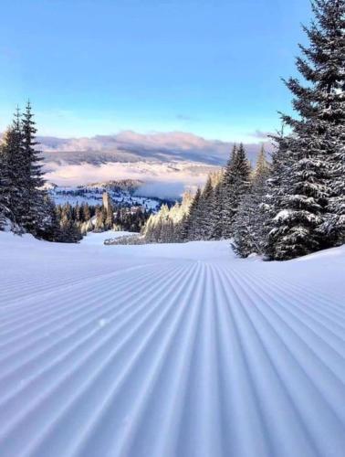 a snow covered field with trees on a mountain at 4 Seasons Vlašić Lux Apartments in Vlasic