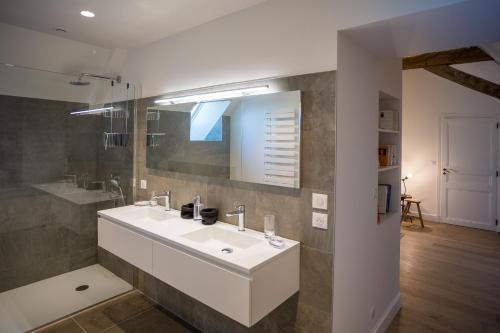ein Badezimmer mit einem weißen Waschbecken und einem Spiegel in der Unterkunft Le Clos de Louy in Restigné