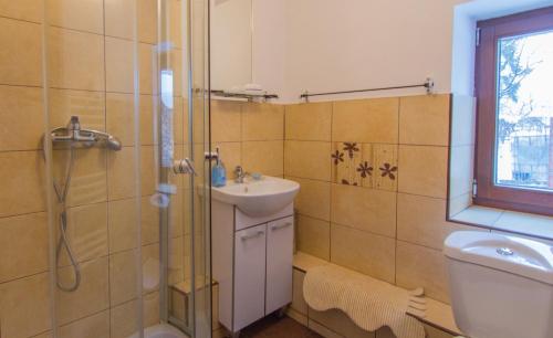 a bathroom with a shower and a sink and a toilet at Charming Chalet Timisu de Sus in Predeal