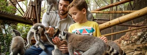 a man and a boy feeding animals at a zoo at Ashanti Garden Luxury Short Term Rental Duplex Altea in La Nucía