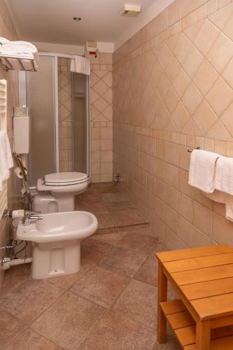 a bathroom with a toilet and a sink at Hotel Chaberton in Cesana Torinese