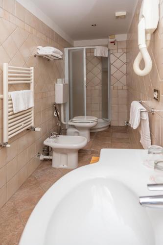a bathroom with a toilet and a sink at Hotel Chaberton in Cesana Torinese