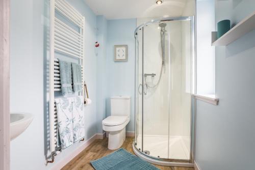 a bathroom with a shower and a toilet at An Cois Na Mara Bed & Breakfast in Laide