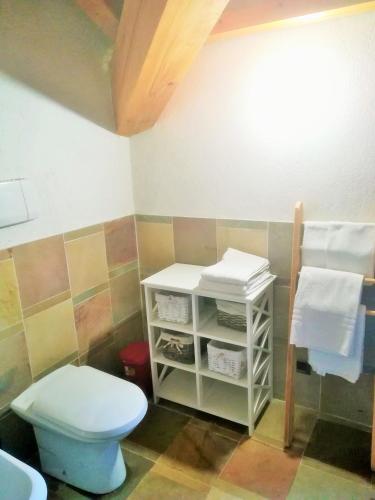 a bathroom with a toilet and a shelf with towels at Agriturismo B&B Chèvres à Cheval in Aosta