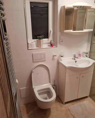 Bilik mandi di Prázdninová chata na horách