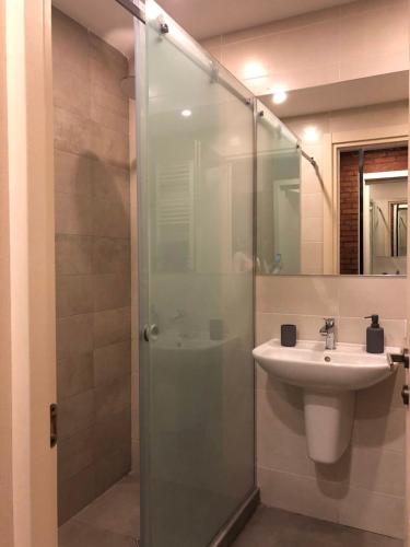 ein Badezimmer mit Glasdusche und Waschbecken in der Unterkunft Ski Heaven in Gudauri