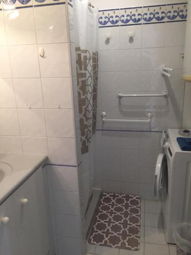 a bathroom with a shower with a toilet and a sink at Clos des Templiers in Saint-Rémy-de-Provence