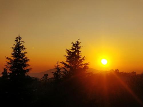 a sunset with trees in the foreground at The Bunker Bir in Bīr