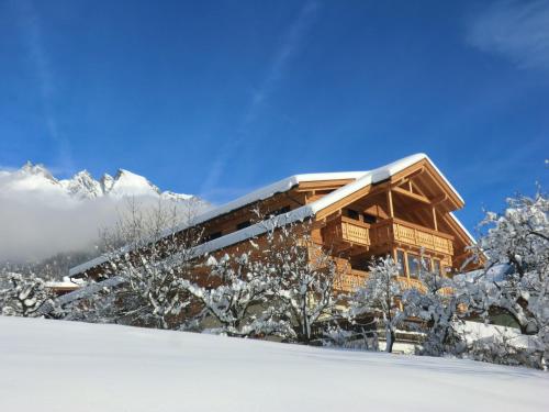 a log cabin in the snow at Binter Apartments in Virgen