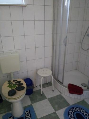 a small bathroom with a toilet and a shower at Gästehaus Labahn in Ueckeritz