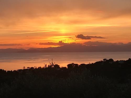 Imagen de la galería de Limone, en Capitana