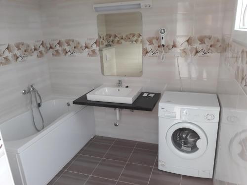 un bagno con lavandino e lavatrice di Kuća za odmor Slavija a Orebić (Sabbioncello)
