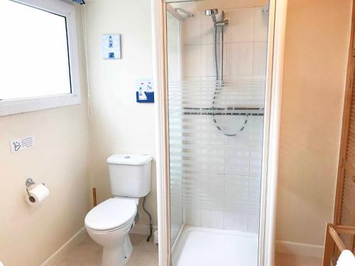 a small bathroom with a toilet and a shower at Esk Vale Guest House in Portsmouth