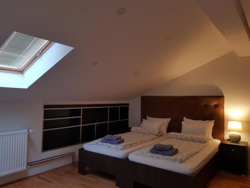 a bedroom with a large bed with a skylight at Family Apartments in Zaječar