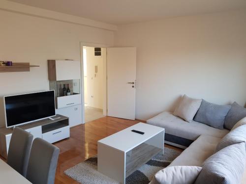 a living room with a couch and a tv at Family Apartments in Zaječar