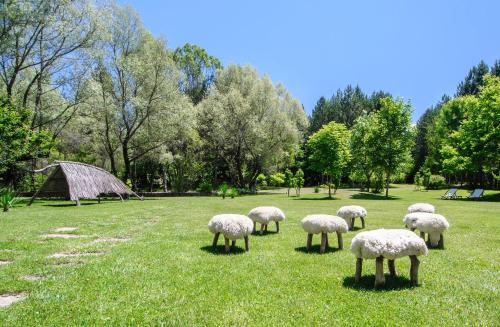 a herd of sheep grazing in a field of grass at Omaya Eco Village in Gaytaninovo