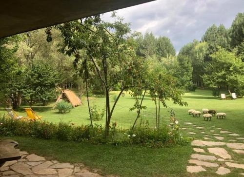 a group of sheep grazing in a grassy field at Omaya Eco Village in Gaytaninovo
