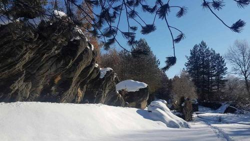 a snow covered hill with trees and a mountain at Omaya Eco Village in Gaytaninovo