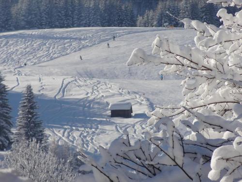 a snow covered hill with a cabin in the middle at Tirolerhof in Lermoos
