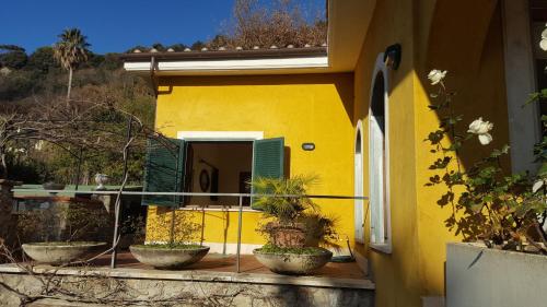 a yellow house with potted plants in front of it at Il Nido del Falco in Castel Gandolfo