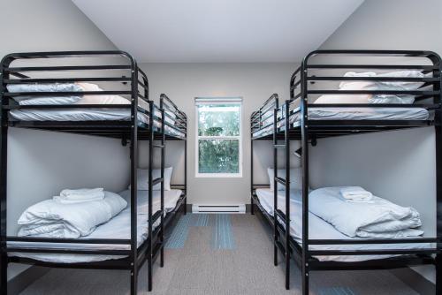 two bunk beds in a room with a window at Nowhere Special Hostel in Rossland