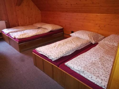 ホルニー・マルショフにあるSedmikráskaのベッド3台 木製の壁の部屋