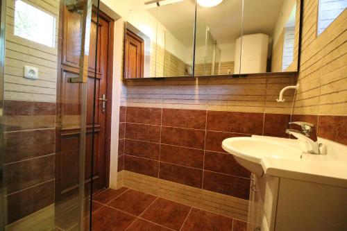 a bathroom with a sink and a shower with a mirror at Chata u Mikiho Krahule in Krahule