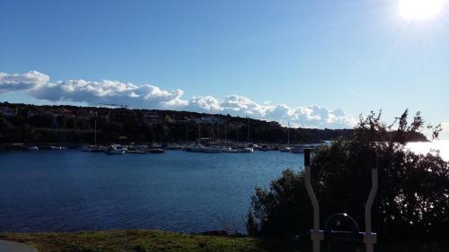 a view of a harbor with boats in the water at Apartments Šeherzada in Pula