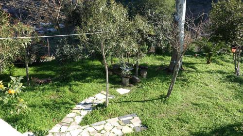 a garden with trees and a stone path at The old olive mill house in Aegae
