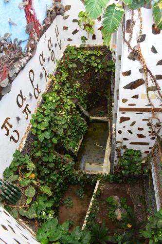 an ivy covered wall with a stairway with plants at La Fonda Aeropuerto in Ingenio